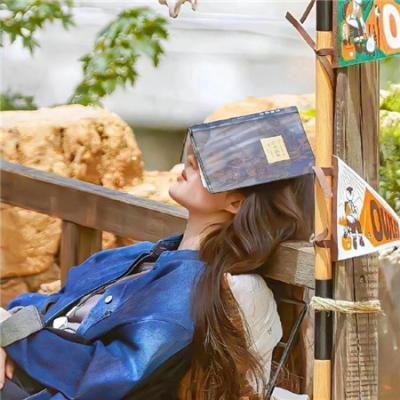 建筑师的挑战：斯特拉斯堡大教堂